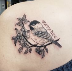 a bird sitting on top of a branch with leaves and berries around it's neck