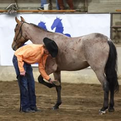 a man standing next to a horse on top of a dirt field