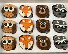 twelve cupcakes decorated to look like animals and raccoons are in a box