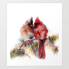 two red birds sitting on top of a pine tree branch in watercolor art print