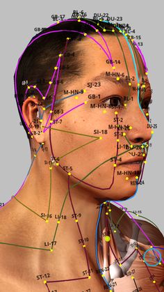 Gesicht Mapping, Punkty Spustowe, Traditional Chinese Medicine Acupuncture, Acupressure Therapy, Hand Reflexology, Reflexology Chart, Acupressure Massage, Reflexology Massage