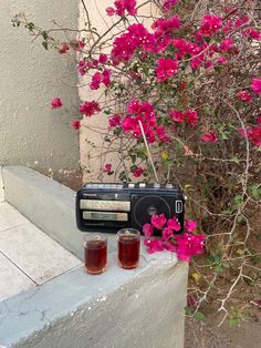 an old fashioned radio sitting on top of a cement wall next to pink flowers and shrubbery