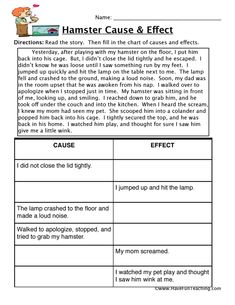 a worksheet with the words hamster cause and effect on it, in english