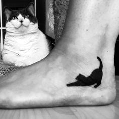 a black and white cat laying on the ground next to a person's foot