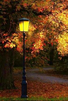 a lamp post in the middle of an autumn park