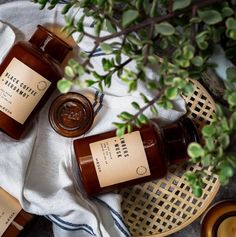 three jars of honey sit on a towel next to a potted plant