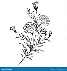 black and white drawing of flowers with leaves on a white background stock photo - image