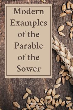 the cover of modern examples of the parable of the sower, with grains scattered around it