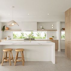 two stools sit in front of an island countertop and cabinets with plants on it