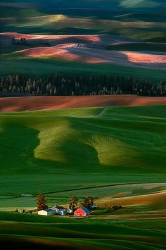 the rolling hills and trees are painted in vibrant colors on this green field with blue sky