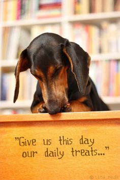 a dachshund dog sitting on top of a wooden box with the words give us this day our daily treat