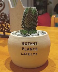 a potted plant that has been placed on a table with words written on it