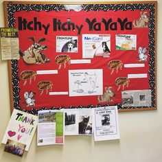 a bulletin board with pictures and information about dogs, cats and other animals on it