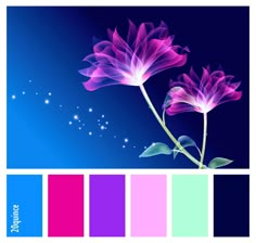 two pink flowers are in front of a blue background