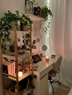 a white desk topped with a plant next to a window filled with light and books