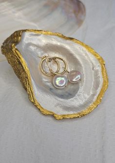 two rings are sitting on an agate shell