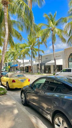 two cars are parked on the side of the road in front of some palm trees