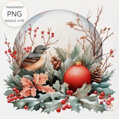 an image of a christmas ornament with birds and holly leaves on it's border