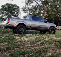 a silver truck parked on top of a grass covered field next to trees and bushes