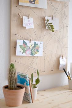 a wooden board with pictures hanging on it and cactus in the corner next to it