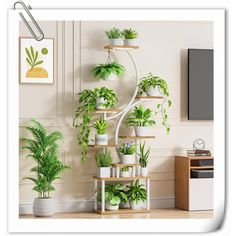 a living room filled with potted plants next to a flat screen tv mounted on a wall