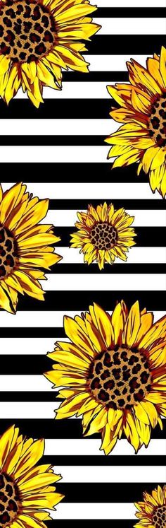 yellow sunflowers on black and white striped background seamless wallpaper pattern photo