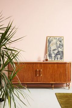 a wooden cabinet sitting next to a plant on top of a white carpeted floor