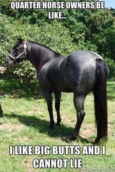 a black horse standing on top of a lush green field next to trees and bushes