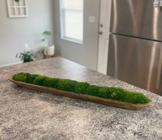 a long piece of moss sitting on top of a counter next to a metal refrigerator