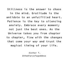 a quote that reads stillness is the answer to chaos in the mind gratitude is the