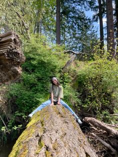 a man sitting on top of a rock next to a forest filled with trees and bushes