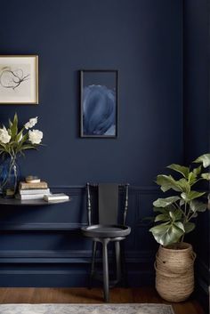 a room with blue walls and white flowers in vases on the table next to two chairs