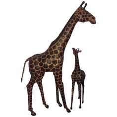 two giraffes standing next to each other on a white background