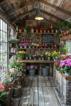 an indoor garden shop with potted plants and flowers