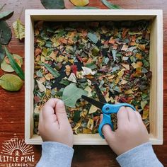 someone using scissors to cut leaves out of a box