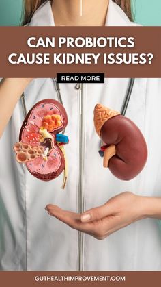 Find out if probiotics can affect your kidneys. Explore the latest research and expert insights in our detailed article. #Probiotics #KidneyHealth #HealthTips #Wellness Foggy Brain, Protein Metabolism, Kidney Pain, Creatinine Levels, Gut Bacteria, Kidney Health