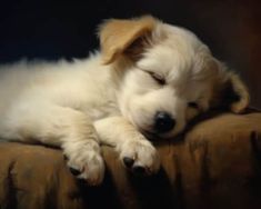 a small white dog sleeping on top of a brown couch next to a black wall