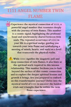 an article about the 11 angel number twin flame in front of a sunset sky with trees and mountains