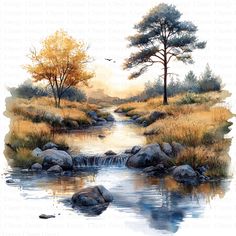 a watercolor painting of a stream running through a field with rocks and trees in the background