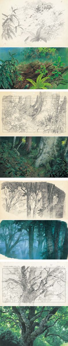 four different views of trees in the woods