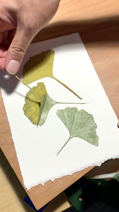 a person is holding a piece of paper with leaves on it and cutting them into smaller pieces