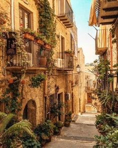 an alley way with plants growing on the buildings