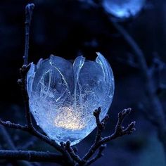 a frosted glass bird sitting on top of a tree branch