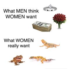 an image of what men think women want