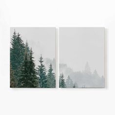 two canvases with trees in the background and foggy sky above them, on a white wall