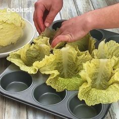 215K likes, 1,843 comments - cookistwow on March 11, 2022: "If you love #cabbage, these 2 recipes are a must-try! 😋 Which one looks the most tasty? #cookistrecipe #recipes #cooking #food #foodie #instafood #foodlove #italianfood #yummy #dinner #lunch #food #yummy #instafood #homemade #foodstagram #eat #instacake #instaphone #foodblogger #foodblog #Iovefood #instamood". Cabbage Cups, White Cabbage, Cookist Wow, Cabbage Roll, Plant Paradox, Stuffed Cabbage, Muffin Tin Recipes, Tv Food, Cabbage Rolls