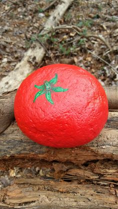 a red rock sitting on top of a piece of wood