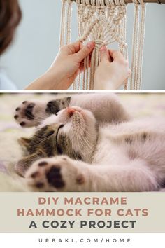 a cat laying on top of a hammock with the caption, diy macrame hammock for cats a cozy project