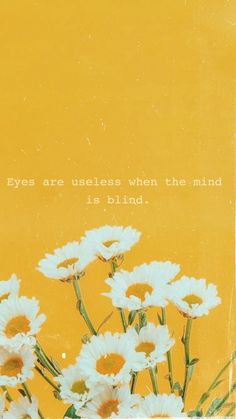 white daisies are in a vase with the words, eyes are used when the mind is blind