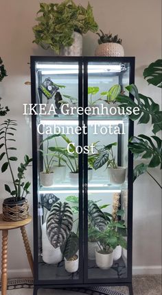 an ikea greenhouse cabinet with plants in it and the words ikea greenhouse cabinet total cost